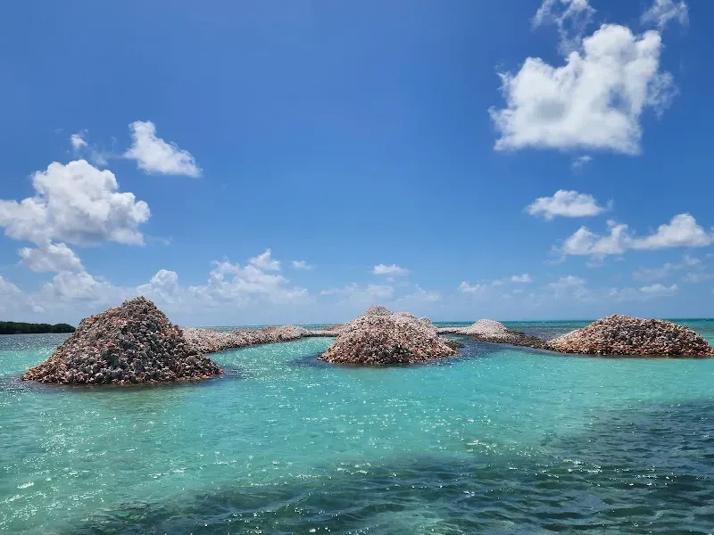 Anegada Conch Mound - Nature attraction in the Caribbean