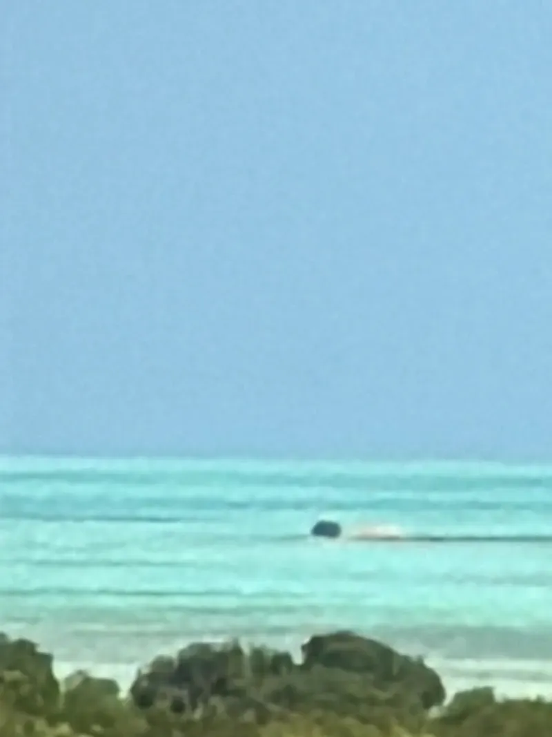 Conch Island look out - Nature attraction in the Caribbean