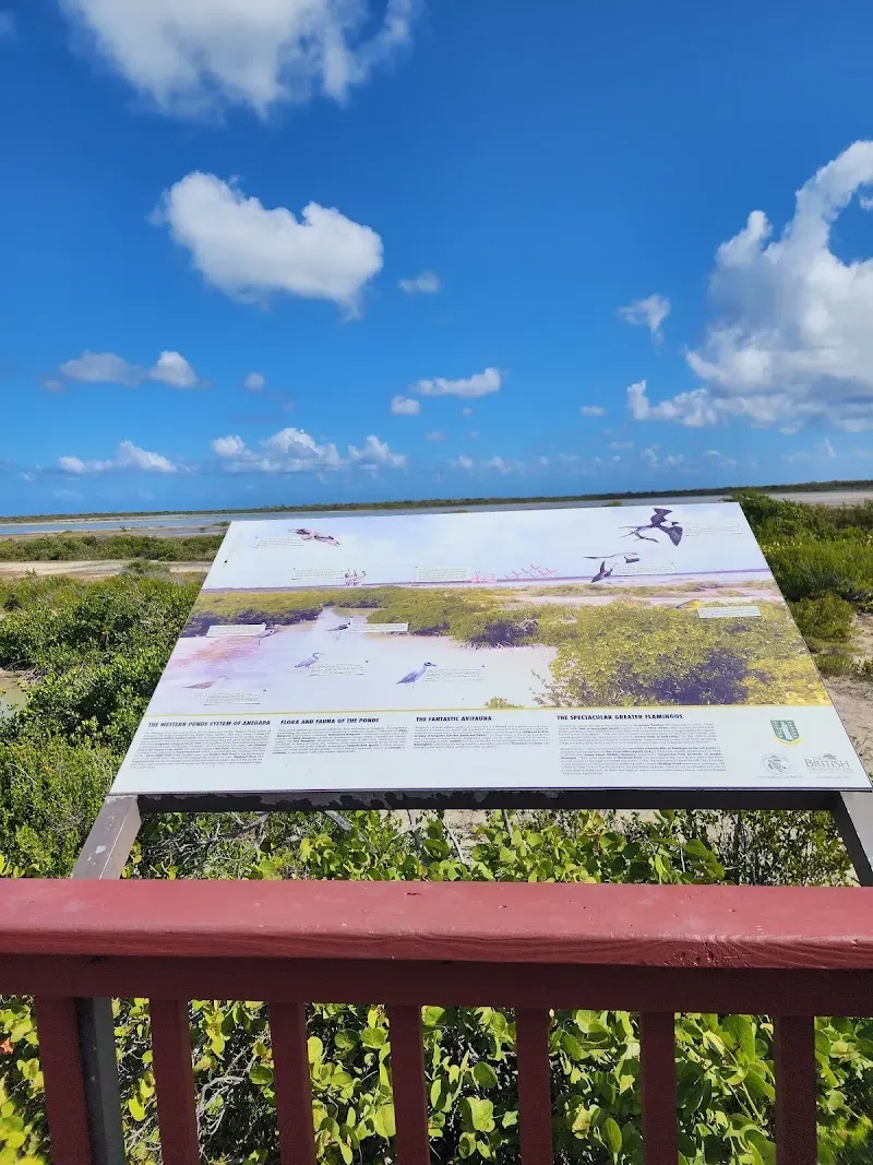 Flamingo Pond Lookout - Nature attraction in the Caribbean