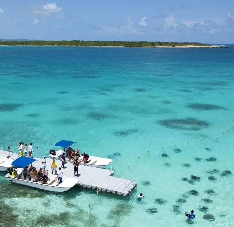 Stingray City Antigua - Nature attraction in the Caribbean