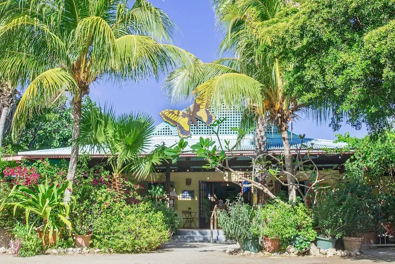 The Butterfly Farm Aruba - Nature attraction in the Caribbean