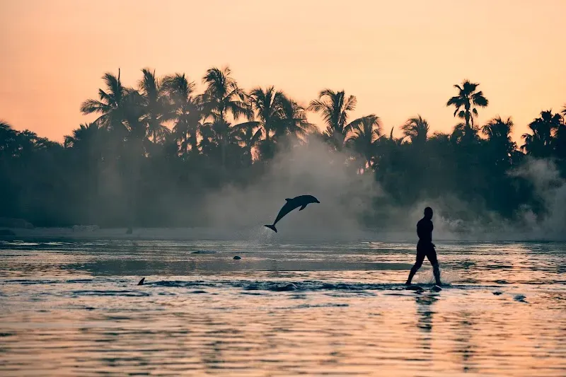 Dolphin Cay Atlantis