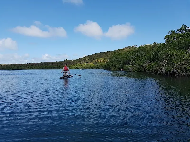 Edwin's Turtle Lake Marine Reserve - Nature attraction in the Caribbean