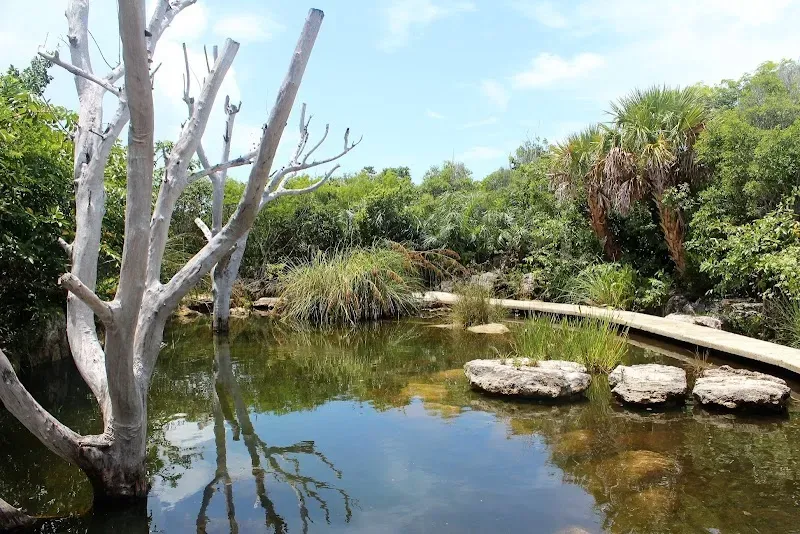 Leon Levy Native Plant Preserve