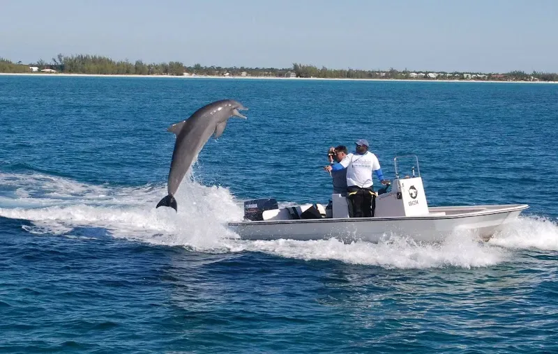 Sanctuary Bay Grand Bahama - Nature attraction in the Caribbean