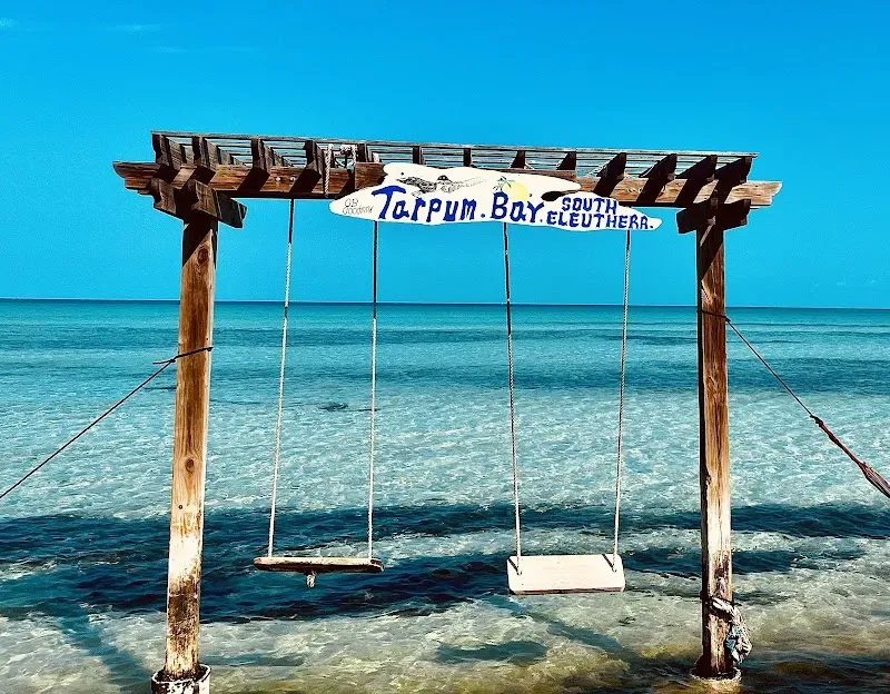 Tarpum Bay Beach Swing