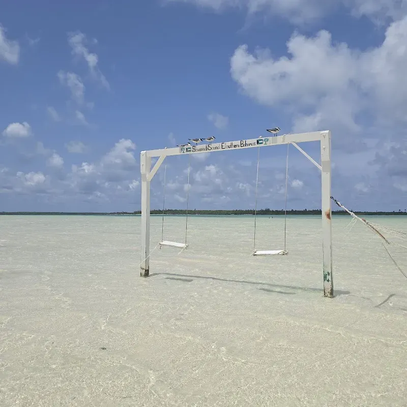 Turtle Beach - Nature attraction in the Caribbean