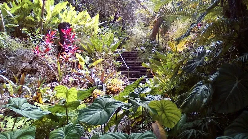 Andromeda Botanic Gardens - Nature attraction in the Caribbean