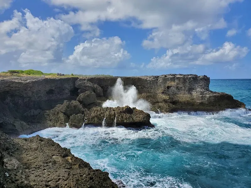 Animal Flower Cave & Restaurant - Nature attraction in the Caribbean