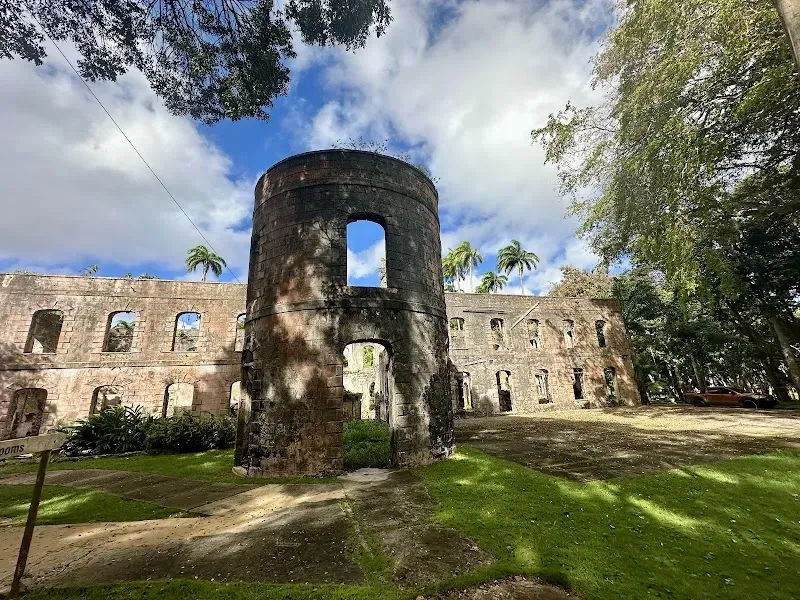 Farley Hill National Park - Nature attraction in the Caribbean