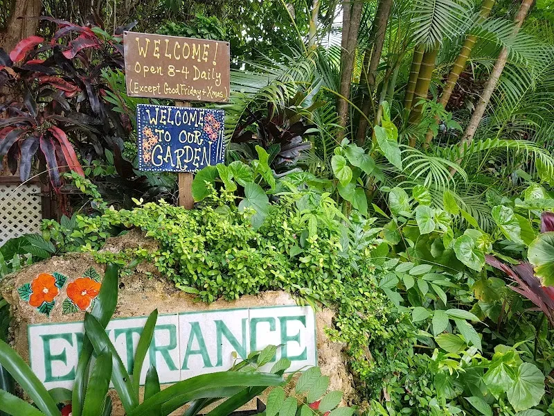 Flower Forest Botanical Gardens - Nature attraction in the Caribbean
