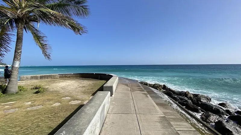 The Richard Haynes Boardwalk - Nature attraction in the Caribbean