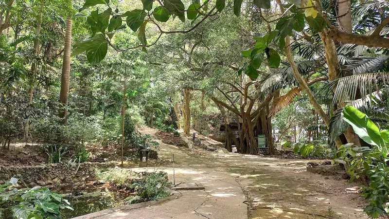 Welchman Hall Gully - Nature attraction in the Caribbean