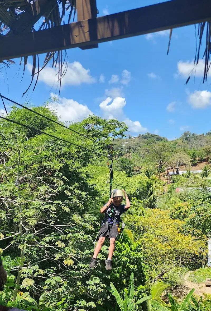 Bodden Tours: Mayan Jungle Canopy Zipline | Victor's Monkey & Sloth Sanctuary - Nature attraction in the Caribbean