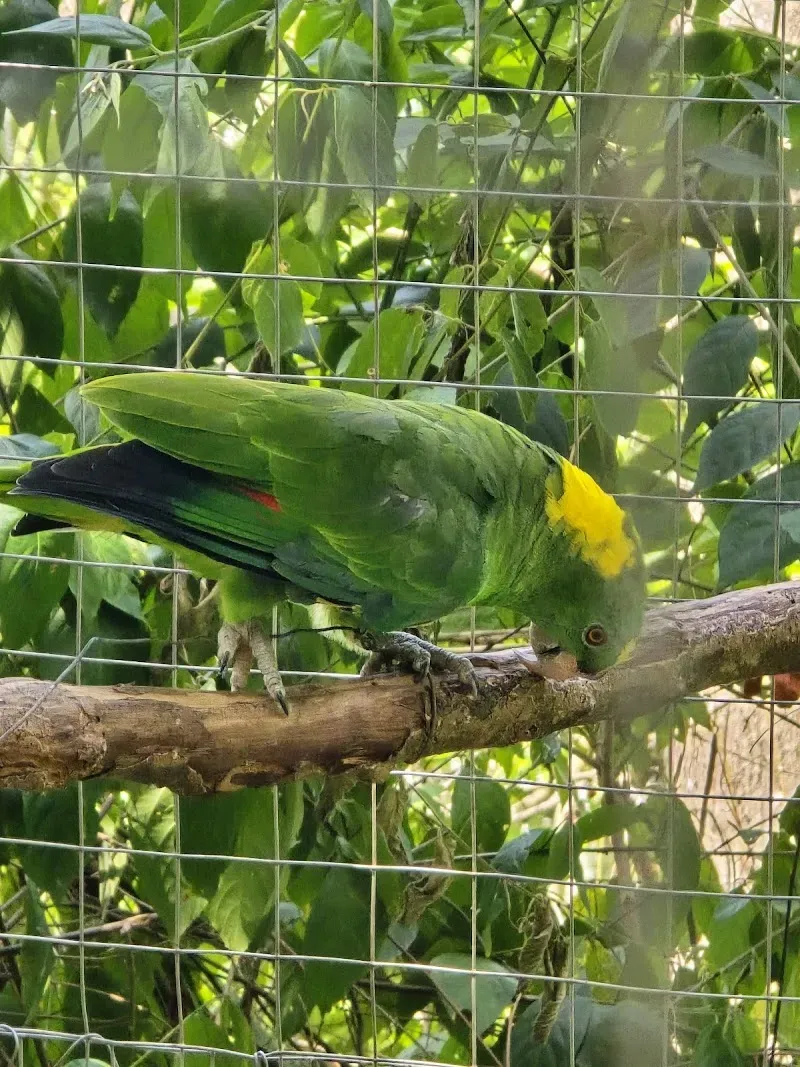 Mayan Eden eco park - Nature attraction in the Caribbean