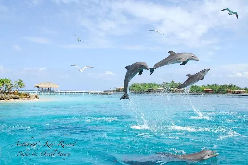 Roatan Institute for Marine Sciences - Nature attraction in the Caribbean