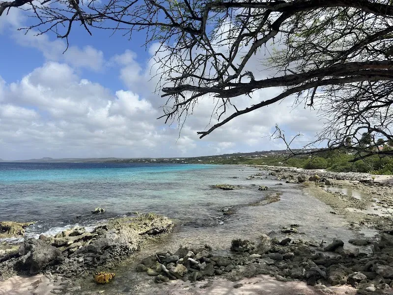 Andrea I Dive site (23) - Nature attraction in the Caribbean