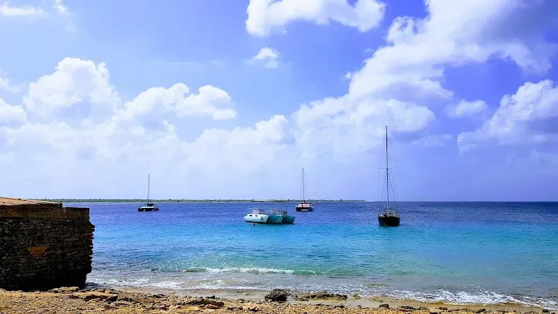 Bari Reef (30) - Nature attraction in the Caribbean