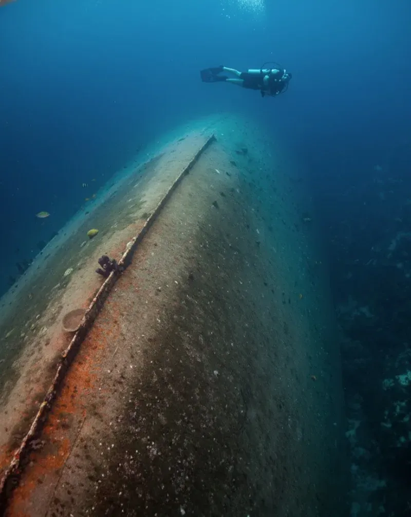 Hilma Hooker (43) - Nature attraction in the Caribbean