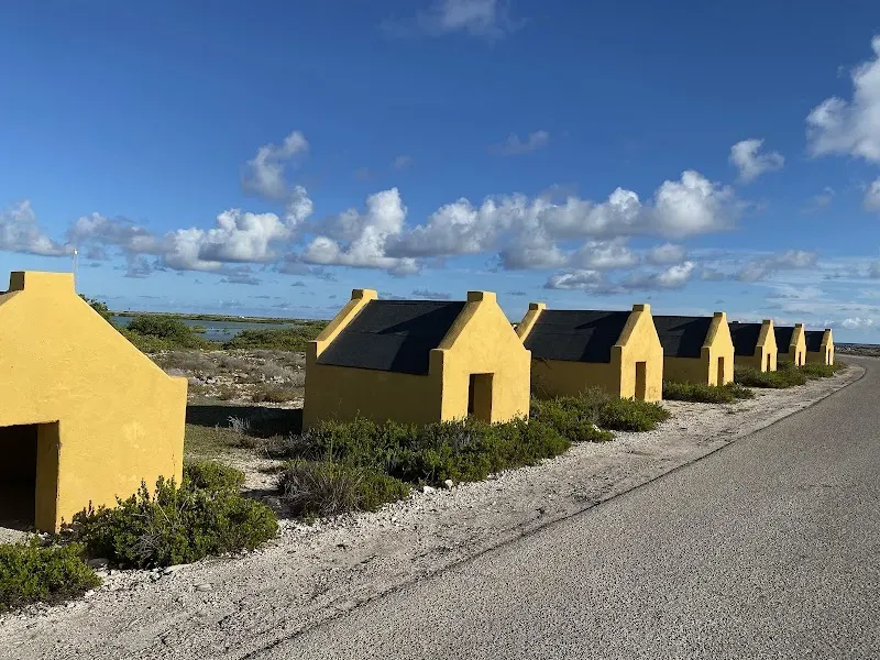 Red Slave (Peleké) (60)