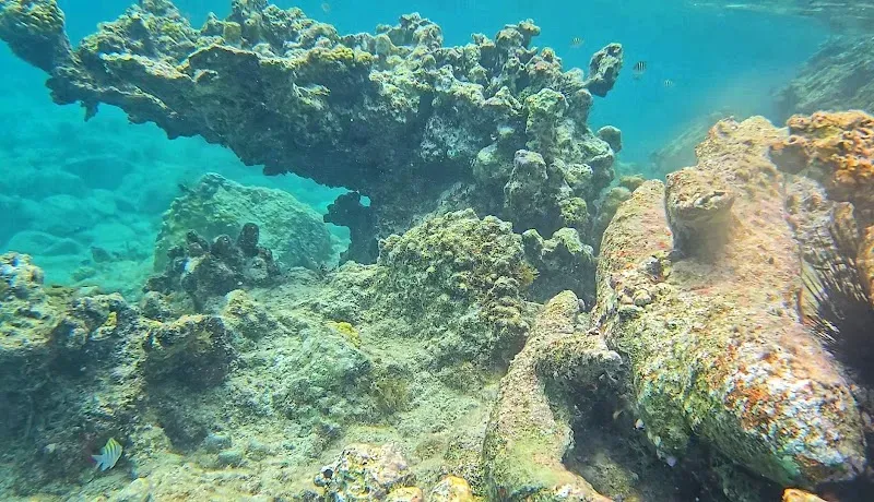 Coral Reef Underwater Park Trail