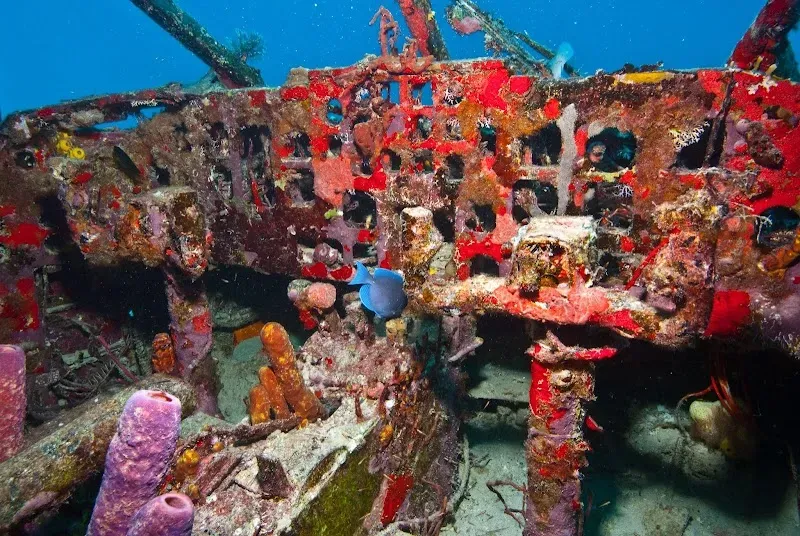 Dive BVI - Spanish Town