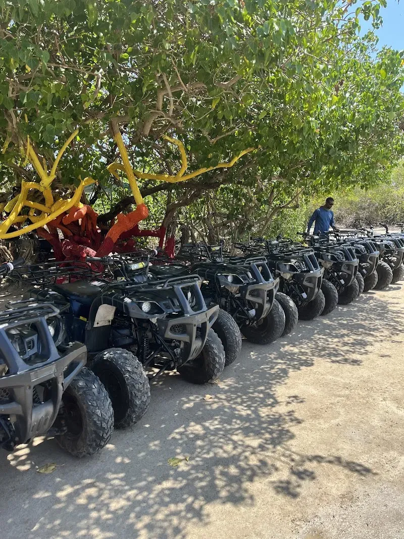 ATV Cayman - Nature attraction in the Caribbean
