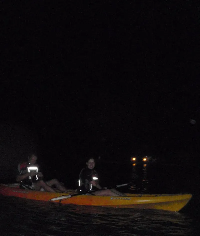 Bioluminescence - Nature attraction in the Caribbean