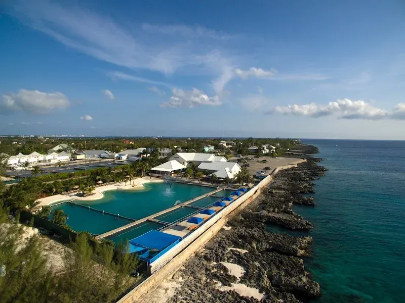 Dolphin Discovery Grand Cayman - Nature attraction in the Caribbean
