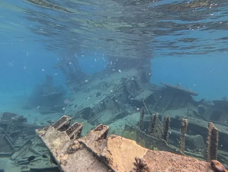 Gamma Shipwreck - Nature attraction in the Caribbean