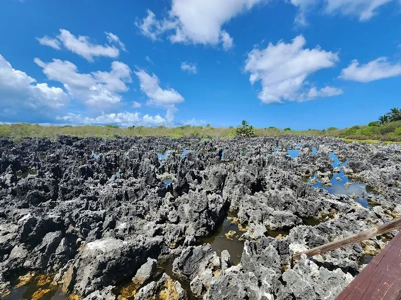Hell, Grand Cayman - Nature attraction in the Caribbean