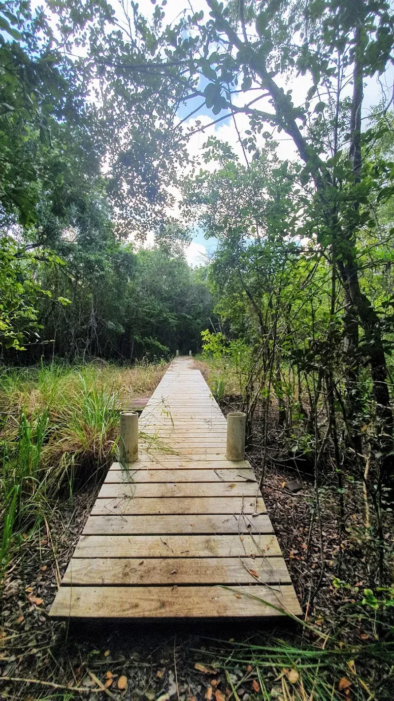 Mastic Trail Southern Trailhead - Nature attraction in the Caribbean