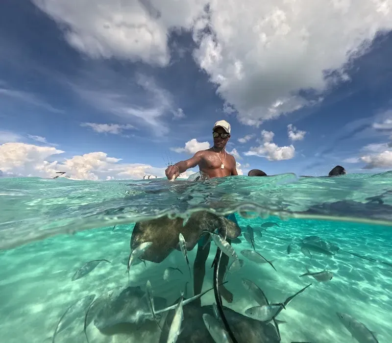 Stingray City Cayman Islands - Nature attraction in the Caribbean