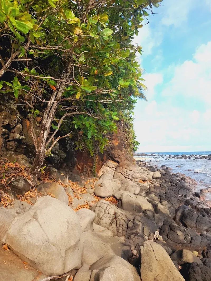 Manjanil Beach - Nature attraction in the Caribbean