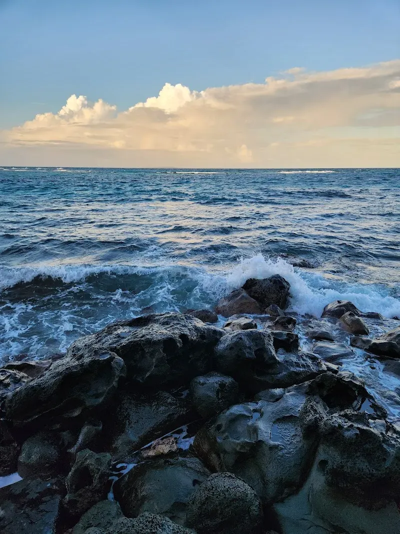 Springhole - Nature attraction in the Caribbean