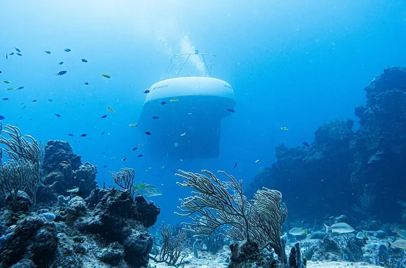 Atlantis Submarines Cozumel - Nature attraction in the Caribbean