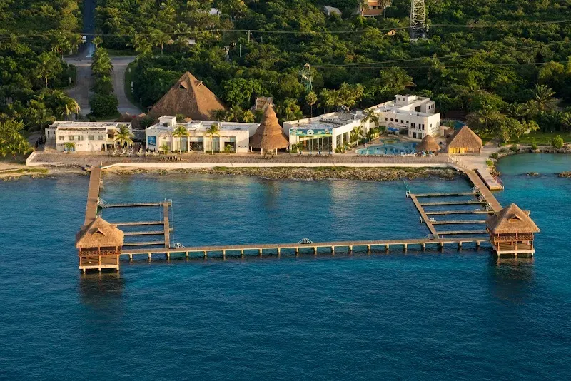 Dolphin Discovery Cozumel - Nature attraction in the Caribbean