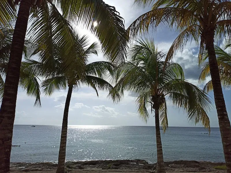 Dzul Ha - Nature attraction in the Caribbean