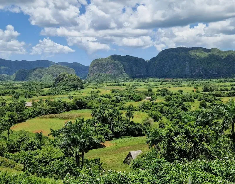 Caballos de los Mogotes - Nature attraction in the Caribbean
