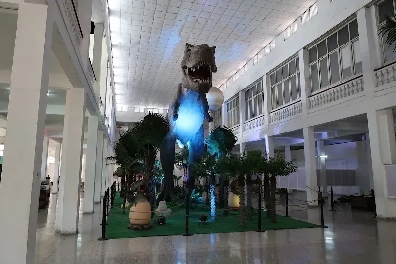 Ciencias Naturales Tomas Romay - Cultural attraction in the Caribbean