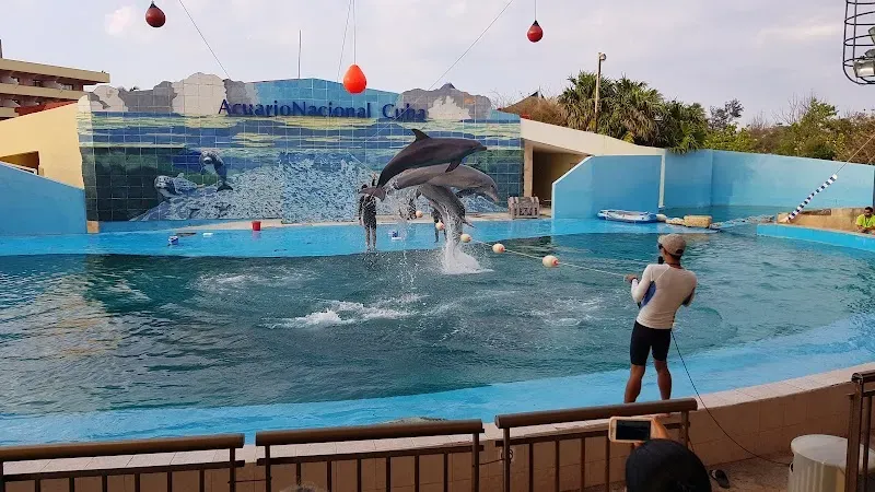 National Aquarium of Cuba - Marine attraction in the Caribbean