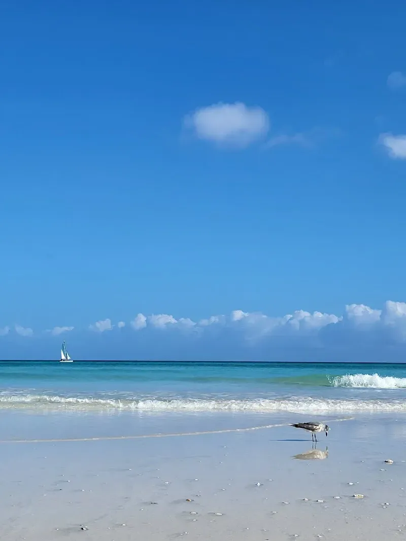 Starfish Varadero All Inclusive playa - Nature attraction in the Caribbean