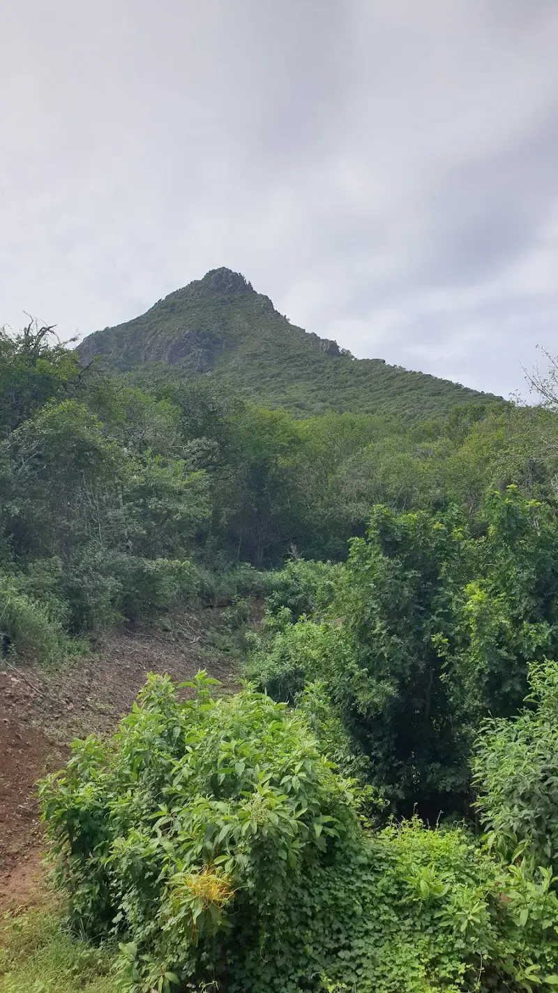 Christoffel Mountain - Nature attraction in the Caribbean