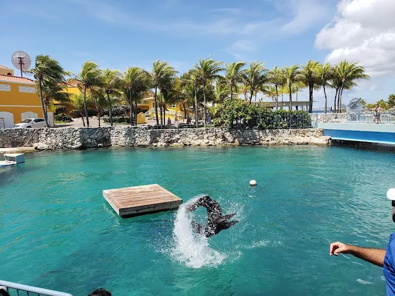 Curaçao Sea Aquarium - Marine attraction in the Caribbean