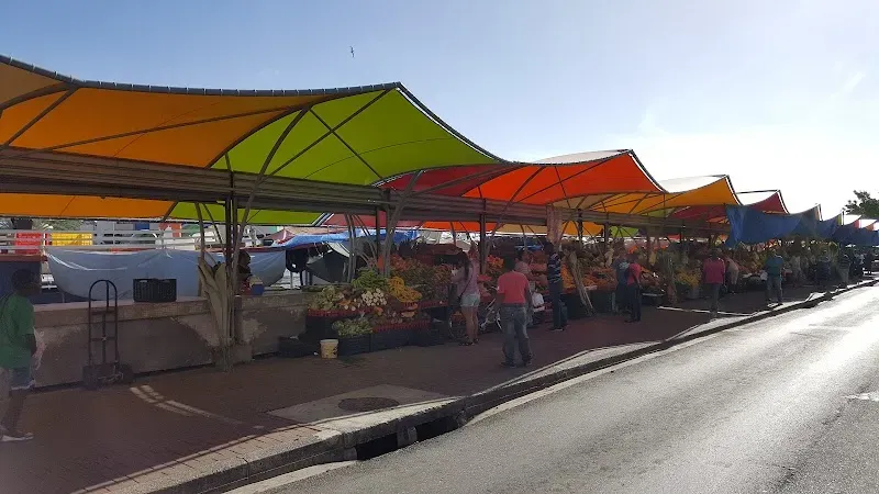 Floating Market - Nature attraction in the Caribbean