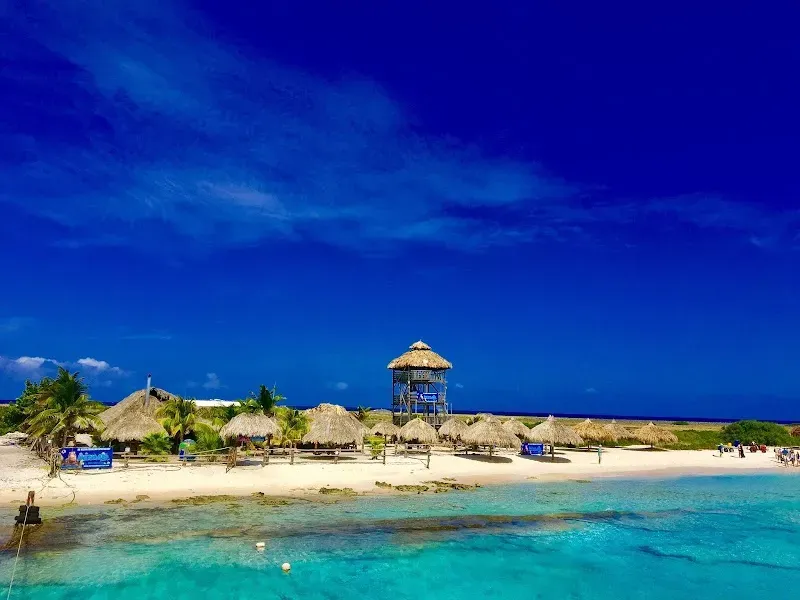 Mermaid Boat Trips - Nature attraction in the Caribbean