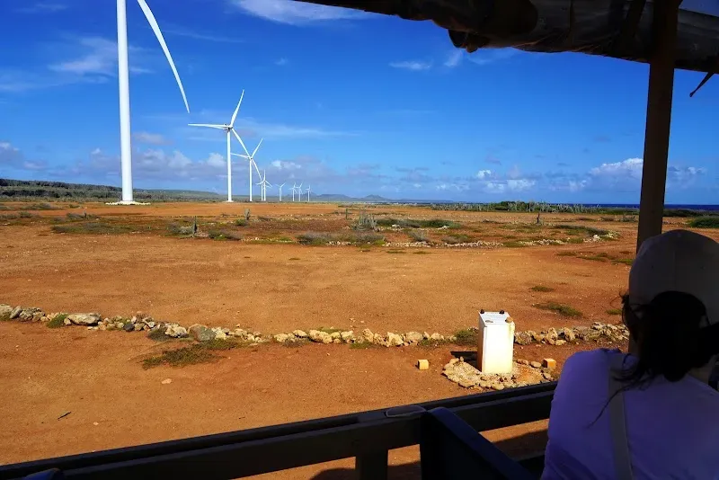 Windmill Farm Curacao