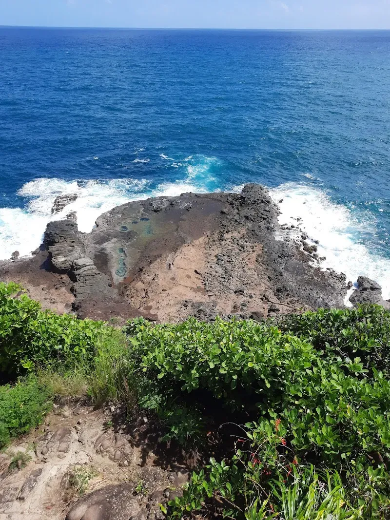 L'Escalier Tête Chien - Nature attraction in the Caribbean