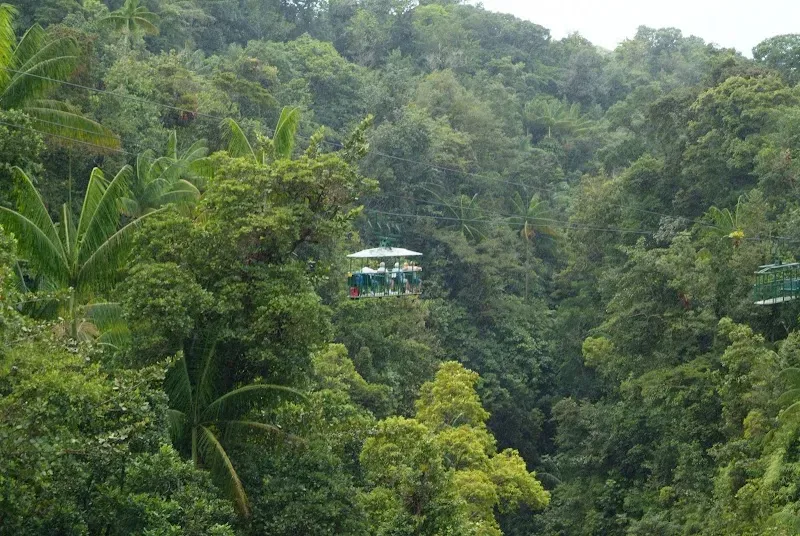 Northern Forest Reserve