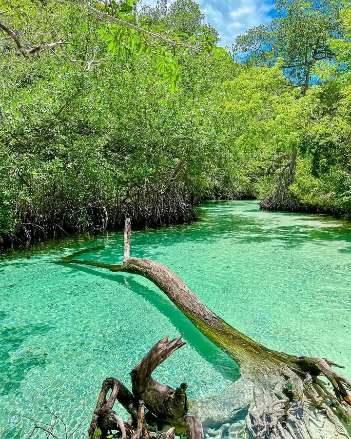 Caño Frío - Nature attraction in the Caribbean